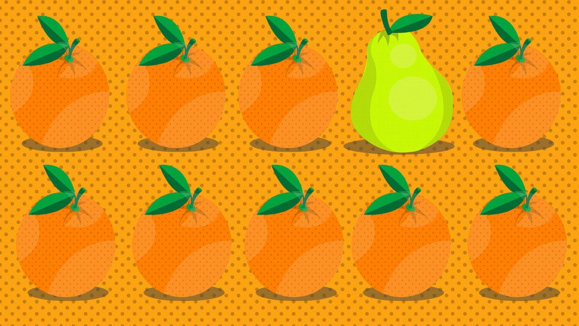 oranges1 - successful brand