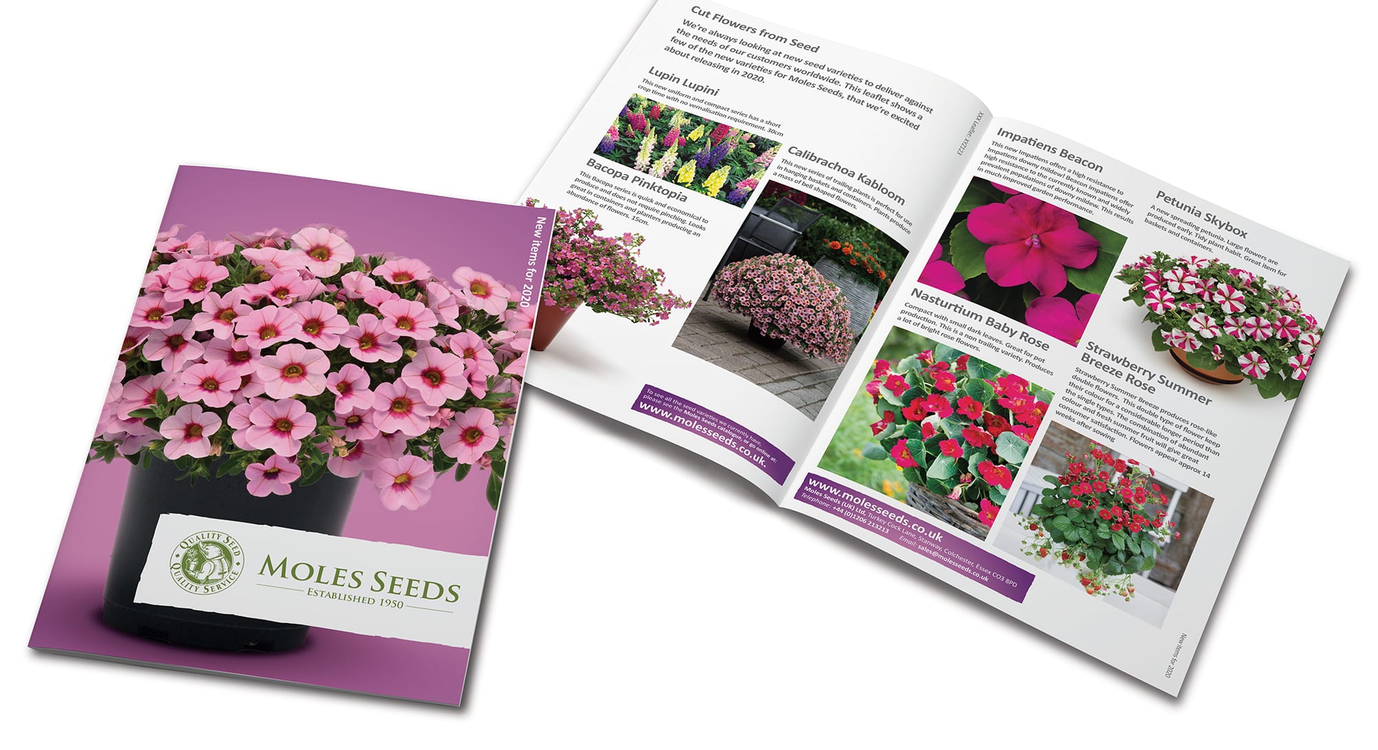 BrochureSpread - Moles Seeds