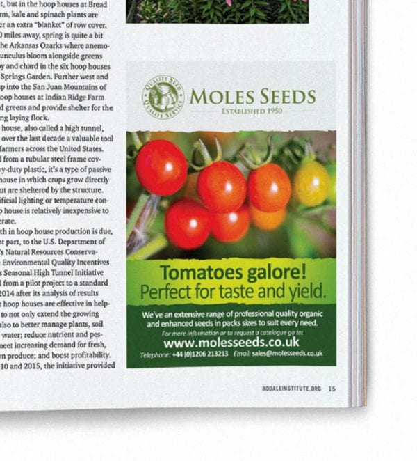 Planting the seeds. How Puur helped Moles Seeds update their identity.