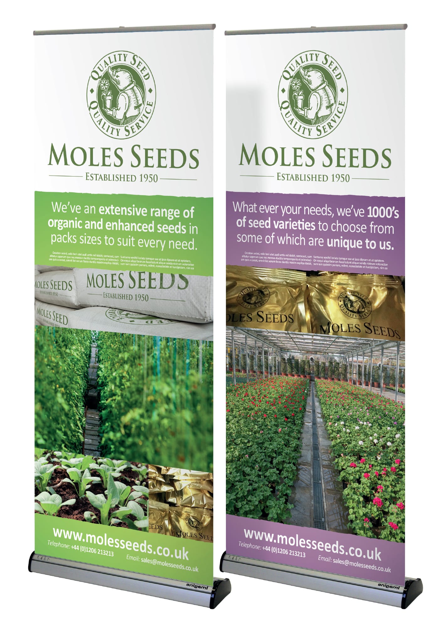 MolesBanners - Moles Seeds
