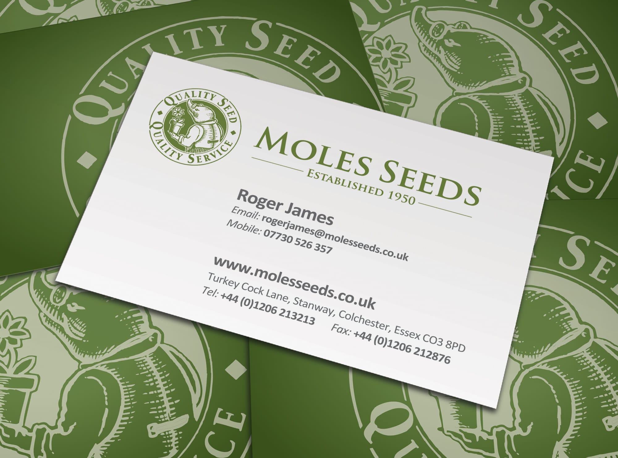 Moles Seeds branding identity development