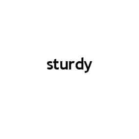 sturdy